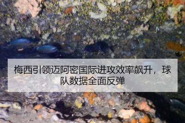 梅西引领迈阿密国际进攻效率飙升，球队数据全面反弹